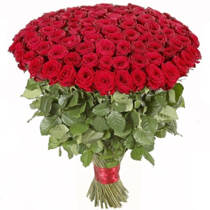 Красные розы (60 см)