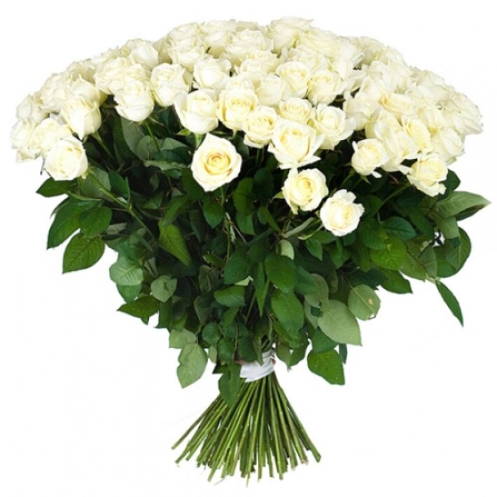 Белые розы (60 см)