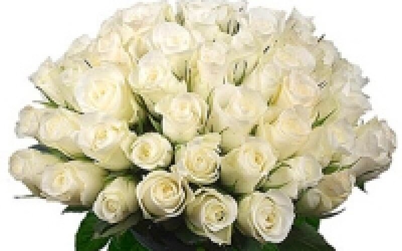Букет «101 белая роза»