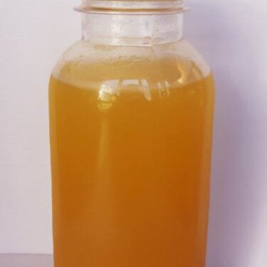 Напиток облепиховый