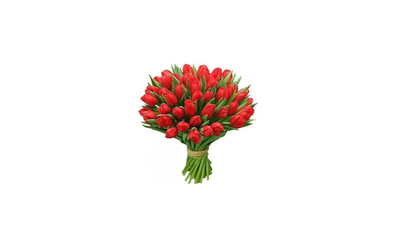 Букет 51 тюльпан «Кармен»