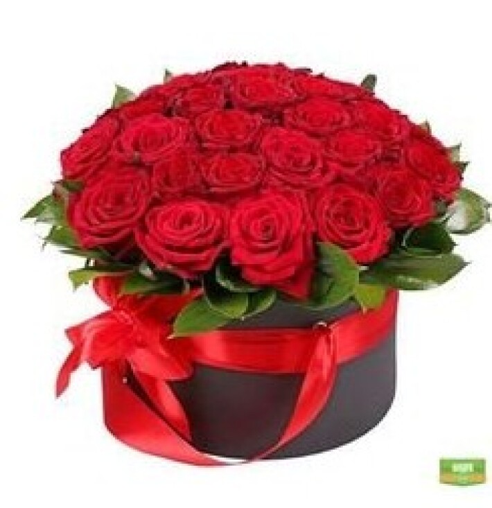 Коробка из 25-ти красных роз