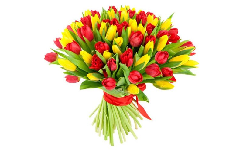 Букет 101 красно-желтый тюльпан «Робкий поцелуй»
