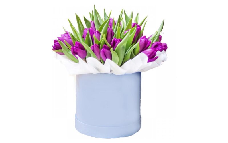 Цилиндр «Пленительный аромат» 35 тюльпанов
