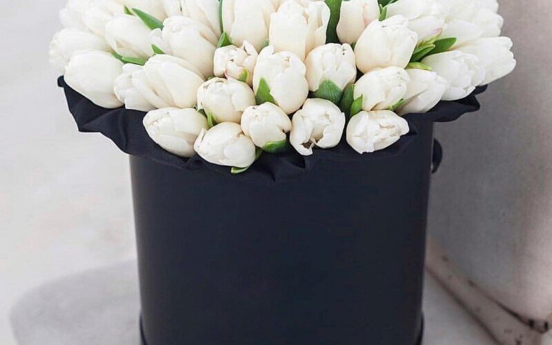 51 тюльпан в цилиндре «Расцвет красоты»