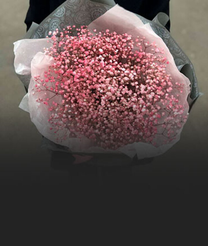 Букет из розовой гипсофилы с упаковкой (9 веток)