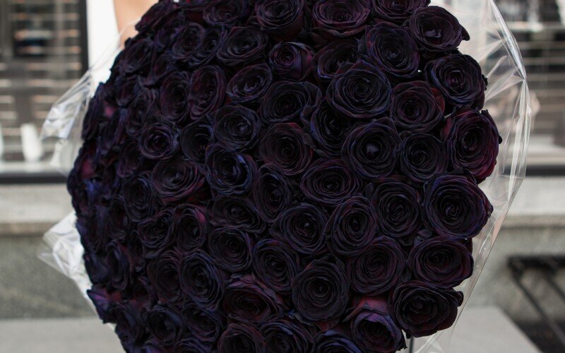 101 чёрная роза