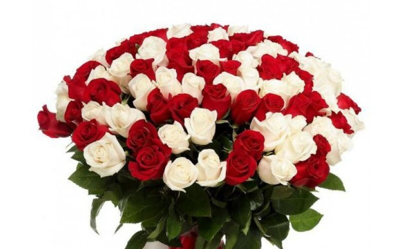 Букет из 101 бело-красных роз