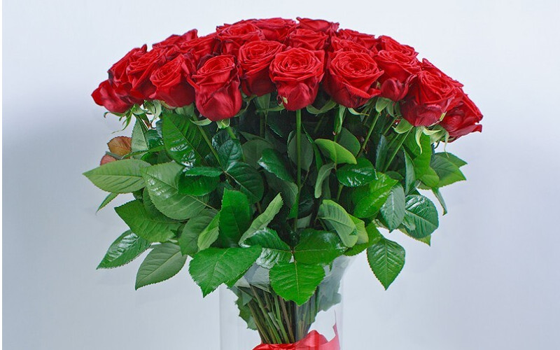 Букет 51 Красная Роза 60 см