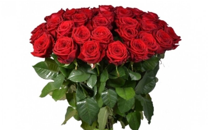 Букет 51 Красная Роза 70 см