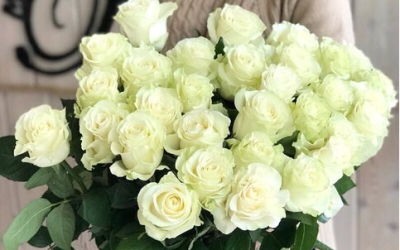 Белые розы «Мондиаль» 70 см с атласной лентой