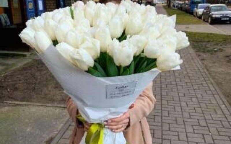 61 белый тюльпан в оформлении