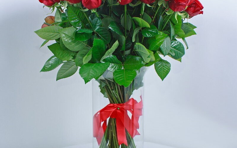 Букет «51 Красная роза» 60 см