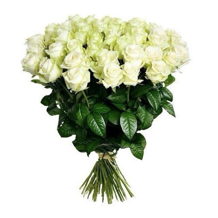 Букет из 51 белой розы 60 см