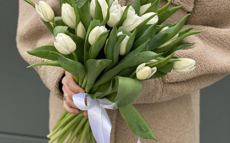 Букет «25 белых тюльпанов»