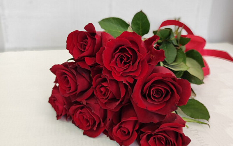 9 красных роз до 50 см