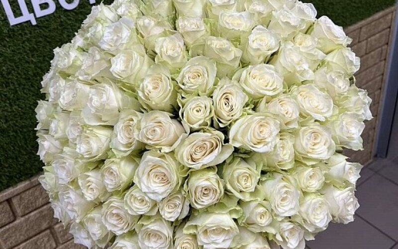51 белая роза до 40 см