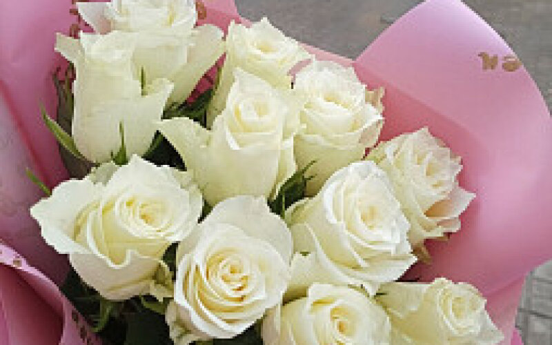 11 белых роз до 50 см