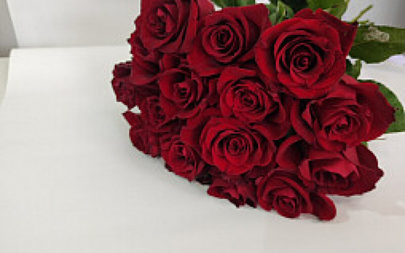 15 красных роз до 40 см