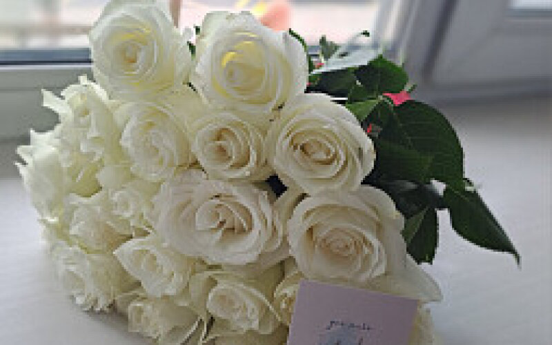 21 белая роза до 50 см
