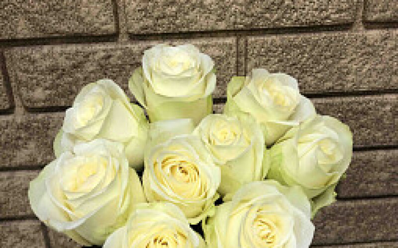 9 белых роз до 50 см
