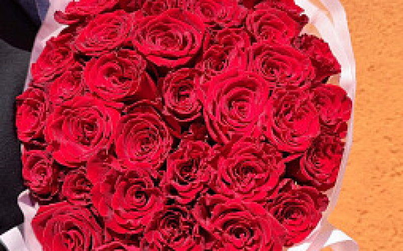 35 красных роз до 40 см